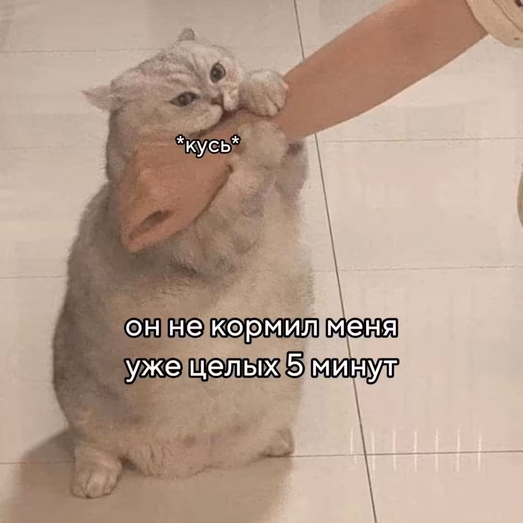 Смешнявка #1030