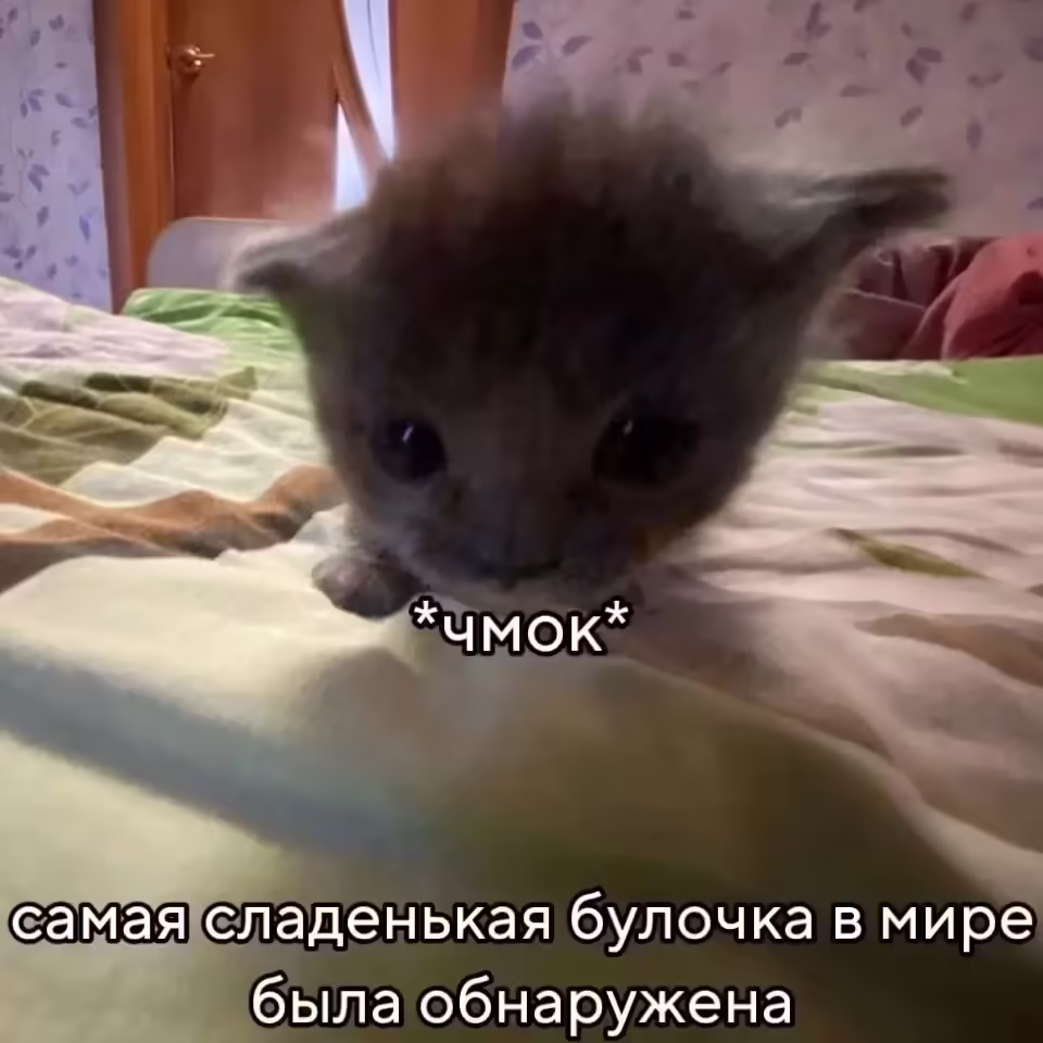 Смешнявка #1033