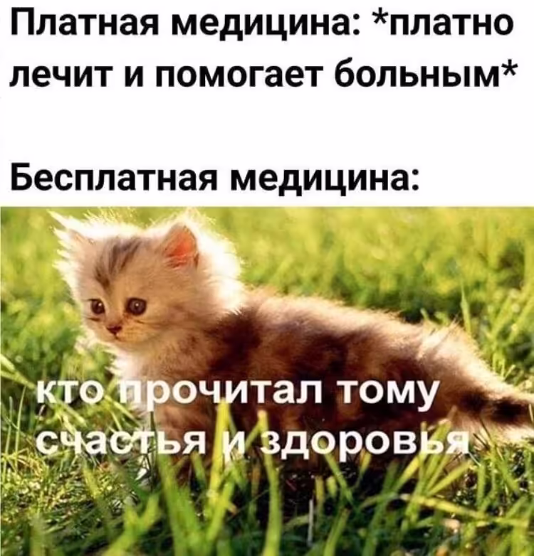 Смешнявка #1036