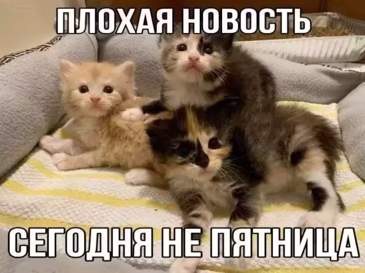 Смешнявка #1037