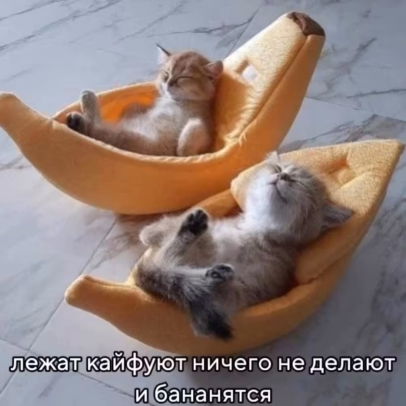 Смешнявка #1039