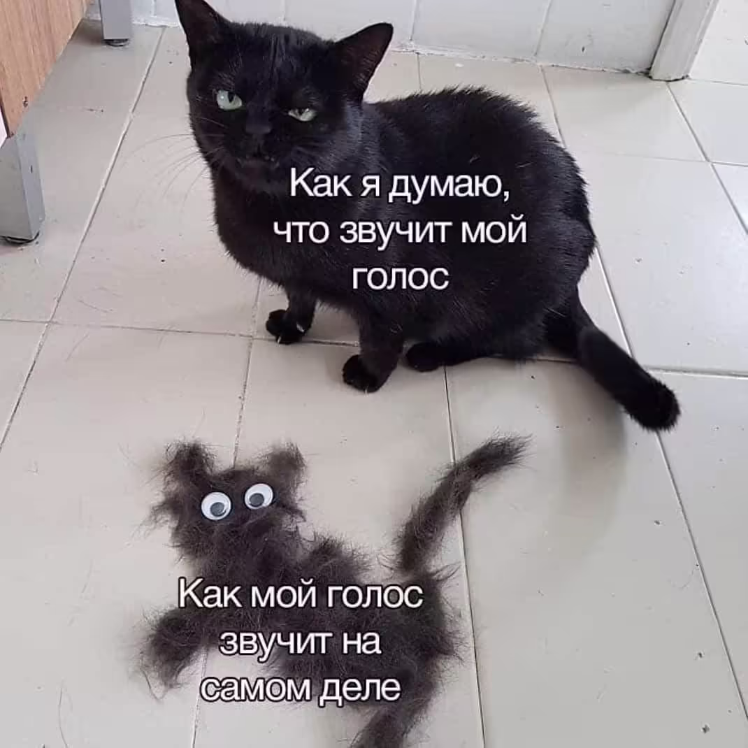 Смешнявка #1041