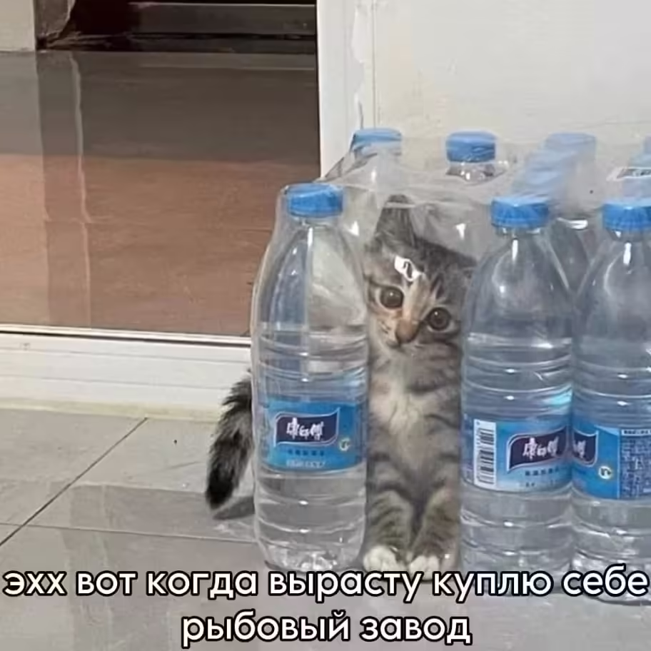 Смешнявка #1045