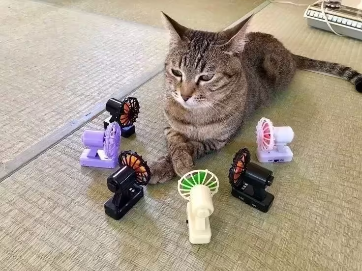 Смешнявка #1059