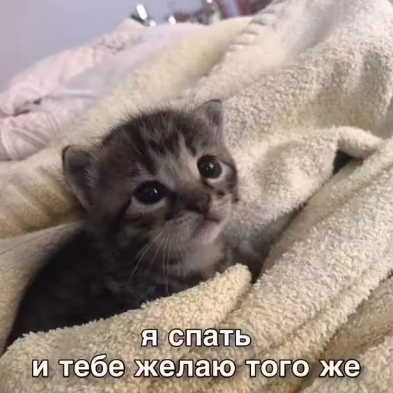 Смешнявка #1061