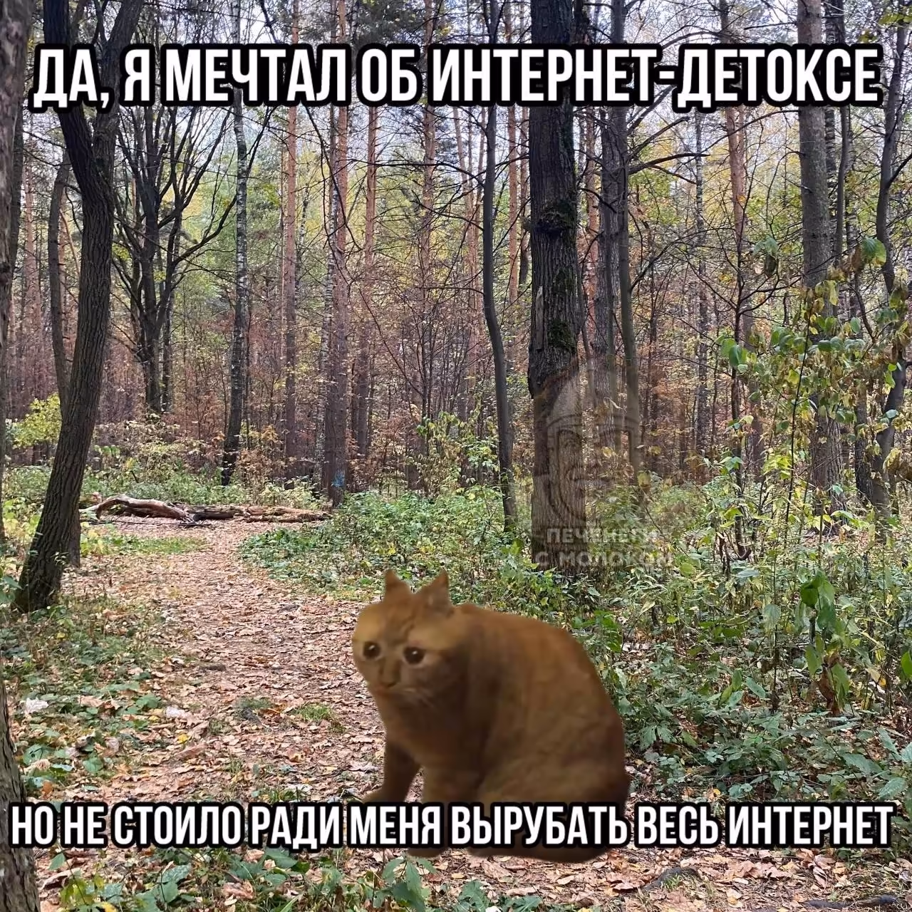 Смешнявка #1064