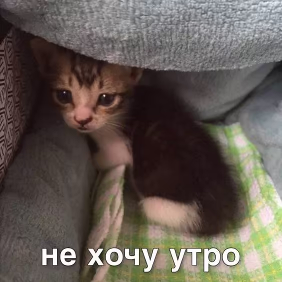 Смешнявка #1066