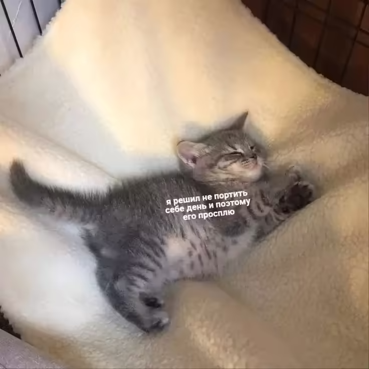 Смешнявка #1077