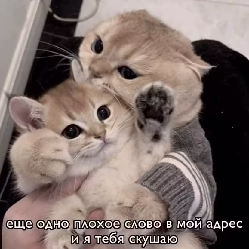 Смешнявка #1080