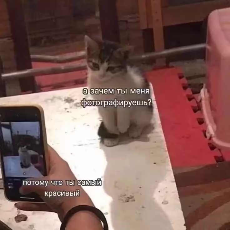 Смешнявка #1082