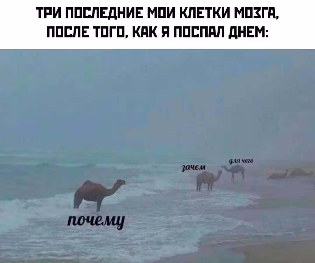 Смешнявка #1084