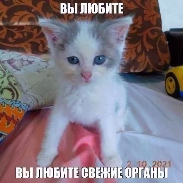 Смешнявка #1088