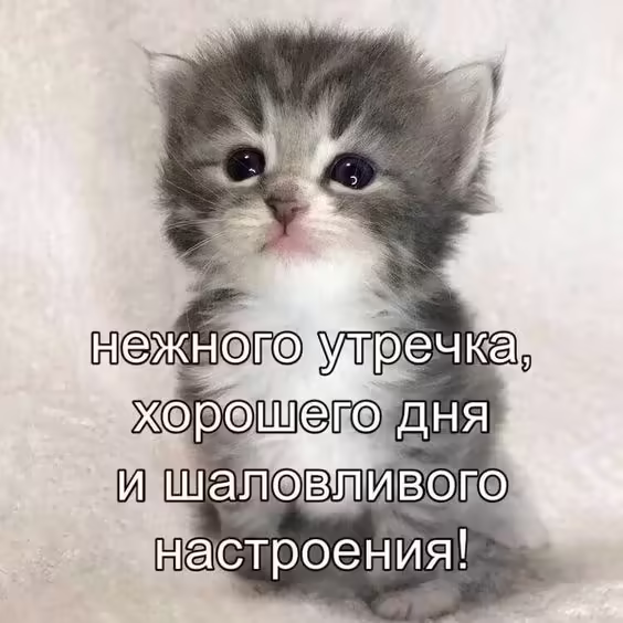 Смешнявка #1100