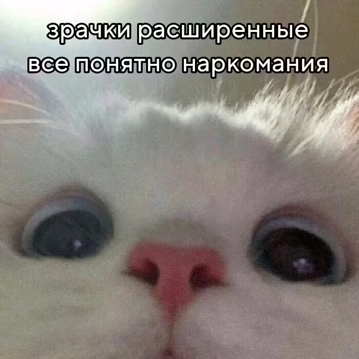 Смешнявка #1107