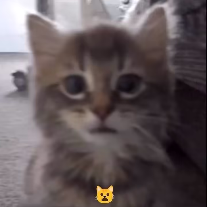 Смешнявка #1113