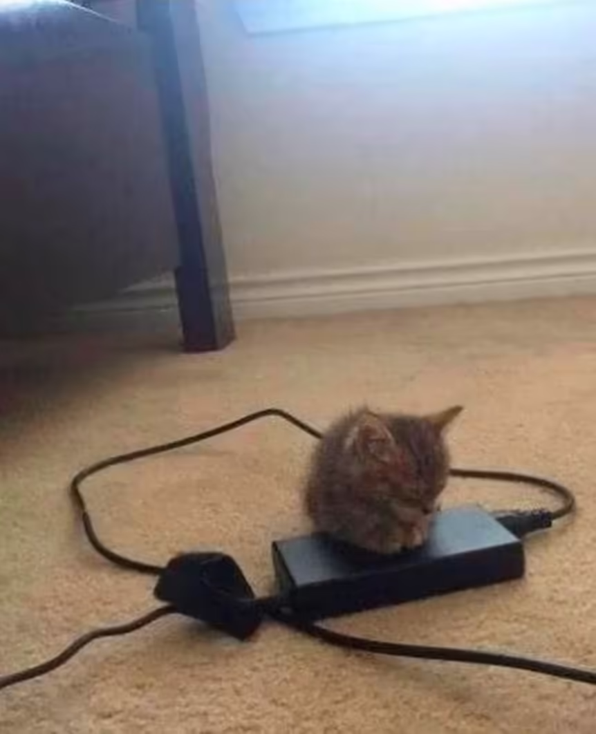 Смешнявка #1122