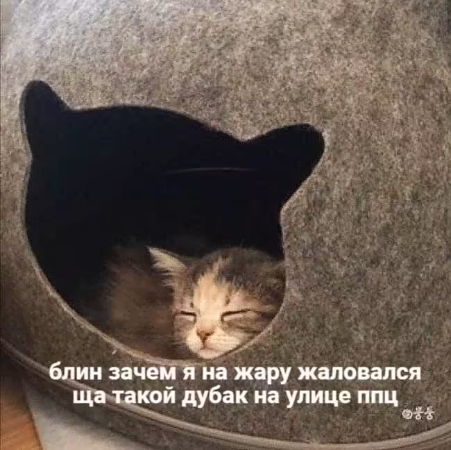 Смешнявка #1125