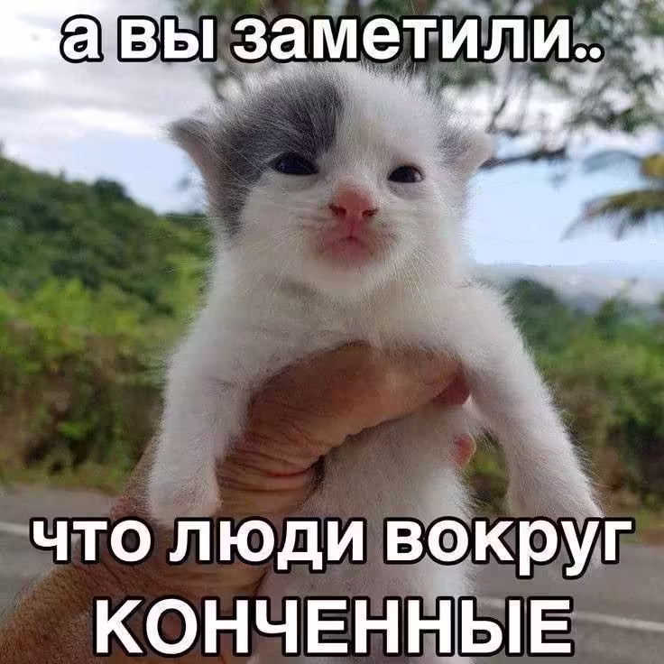 Смешнявка #1140