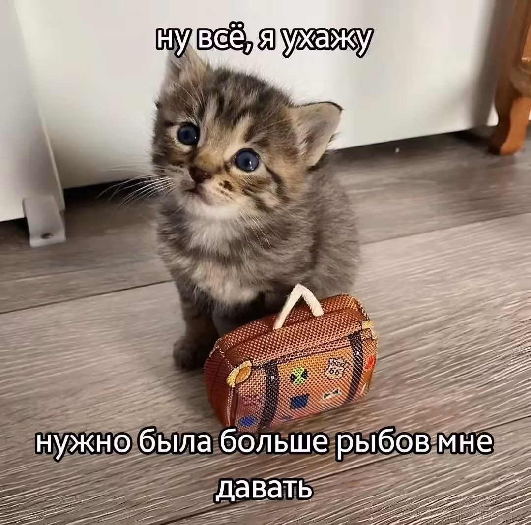 Смешнявка #1142
