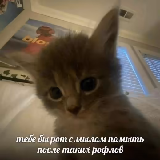 Смешнявка #1145