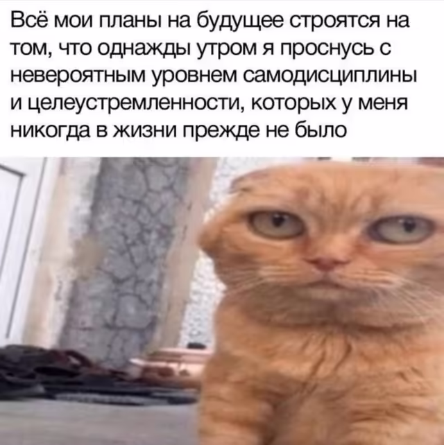 Смешнявка #1150