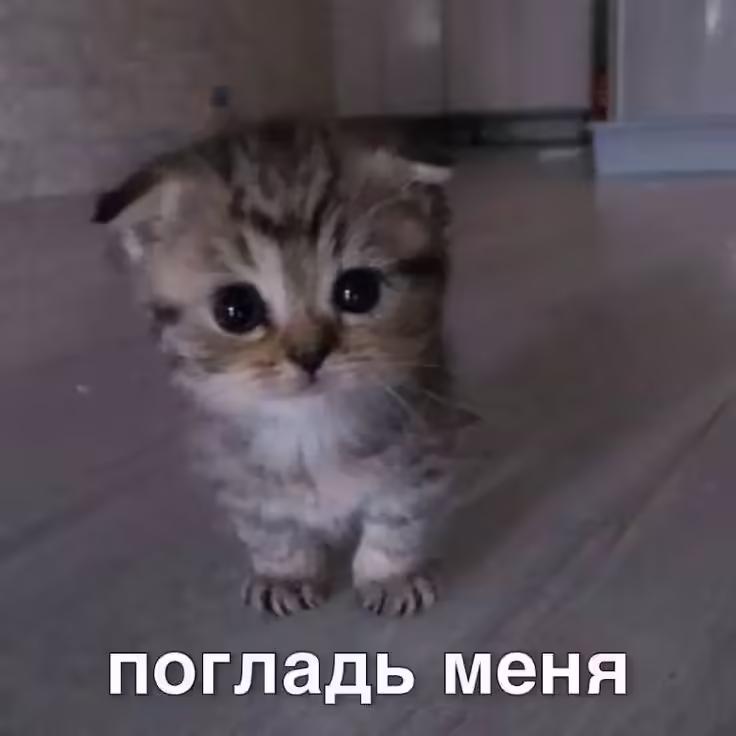 Смешнявка #1151