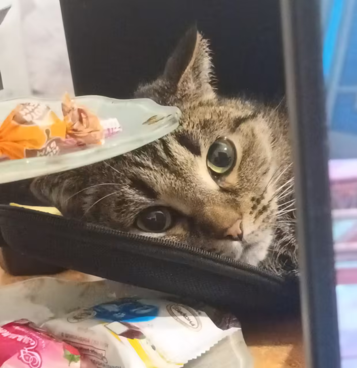 Смешнявка #1153