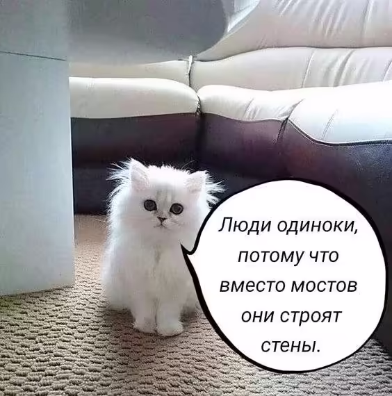 Смешнявка #1155