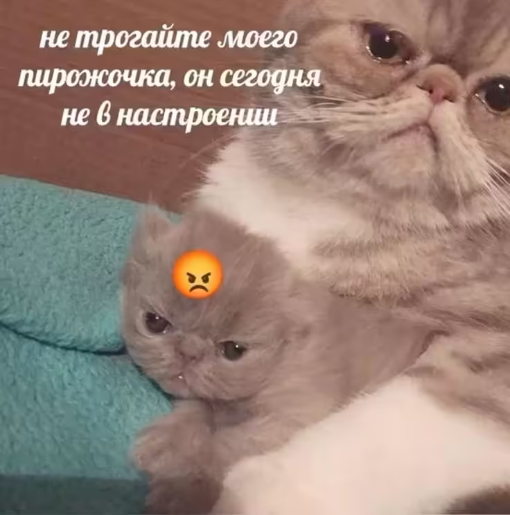 Смешнявка #1157