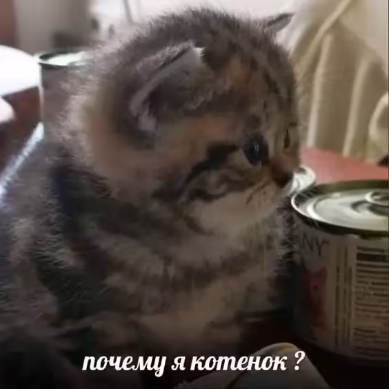 Смешнявка #1162