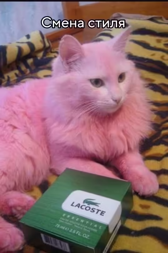 Смешнявка #1171