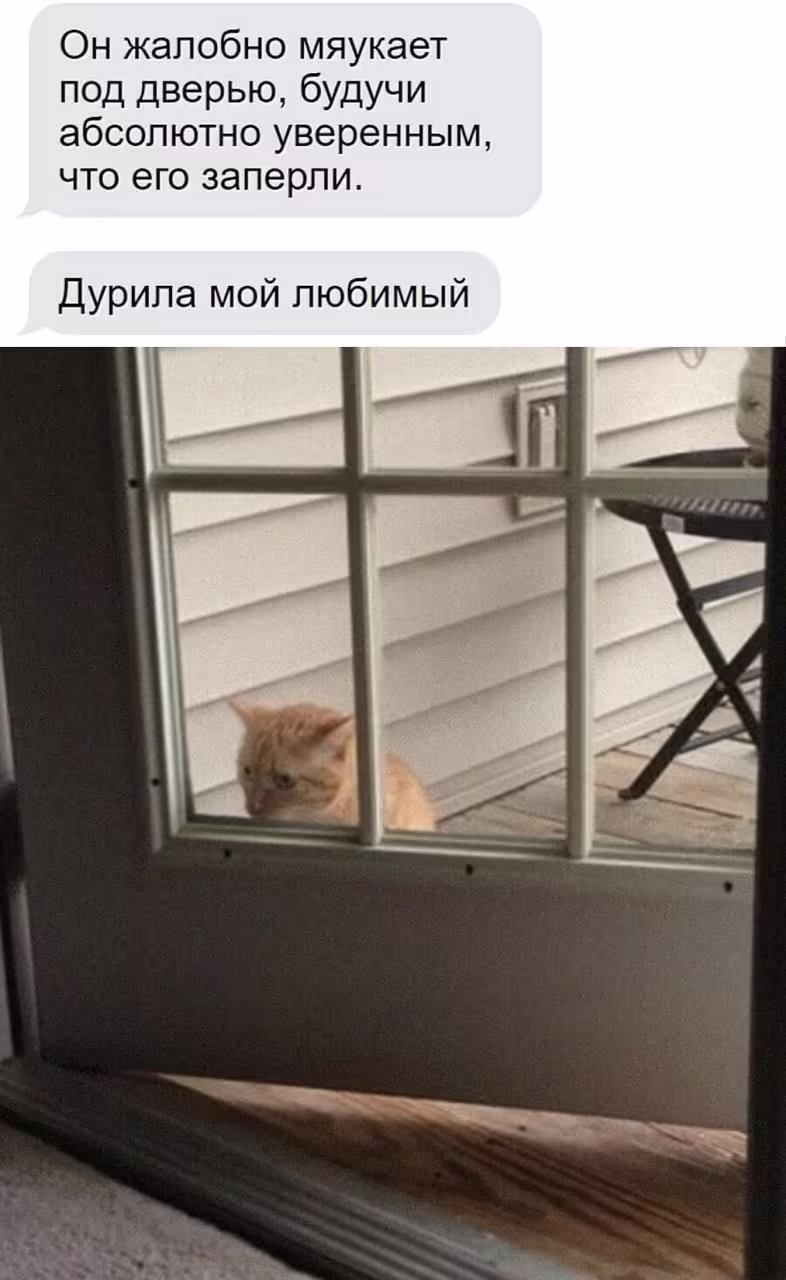 Смешнявка #1175