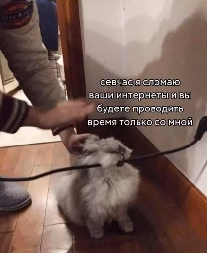 Смешнявка #1176