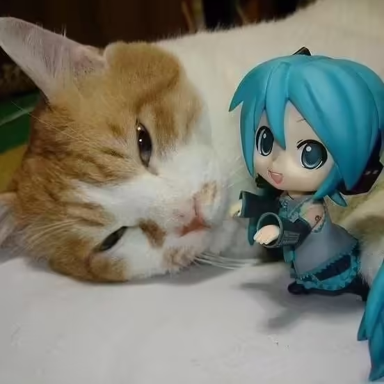 Смешнявка #1180