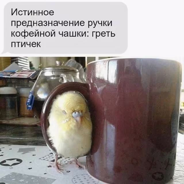 Смешнявка #1187