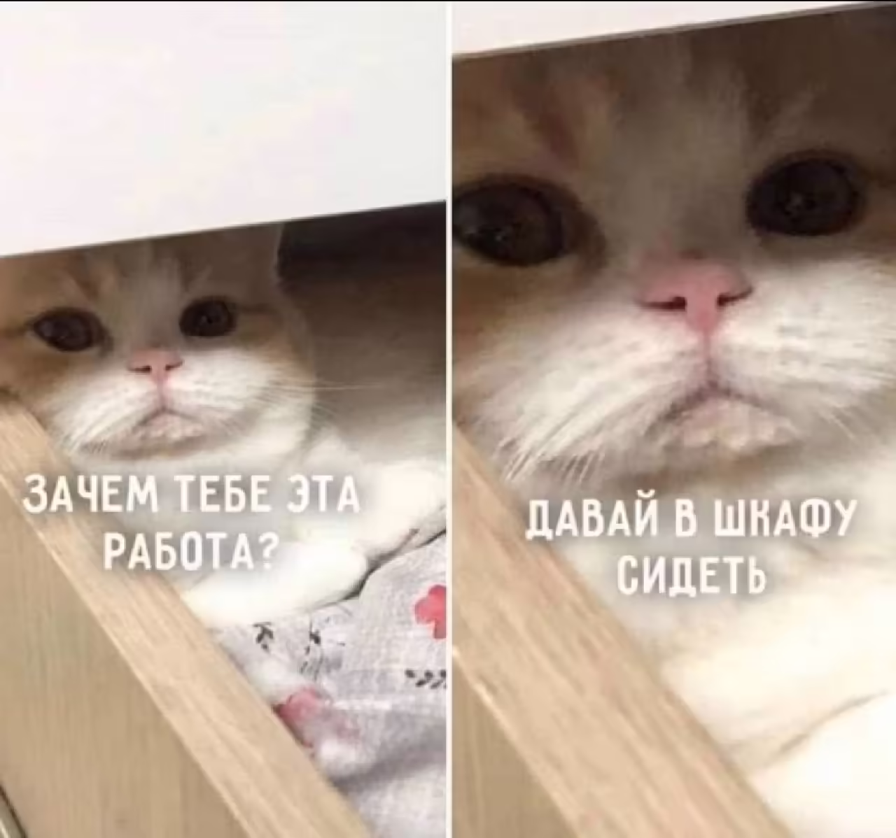 Смешнявка #1188