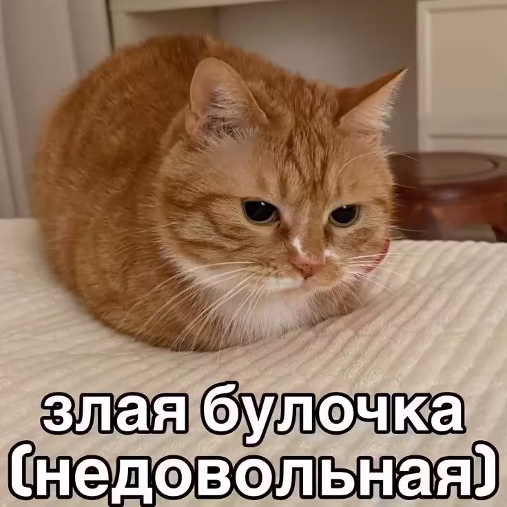 Смешнявка #1210