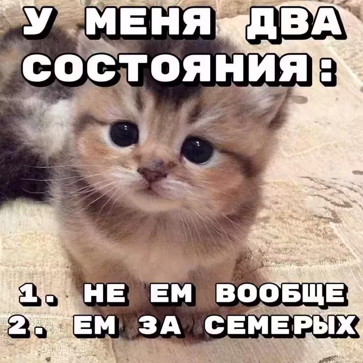 Смешнявка #1213