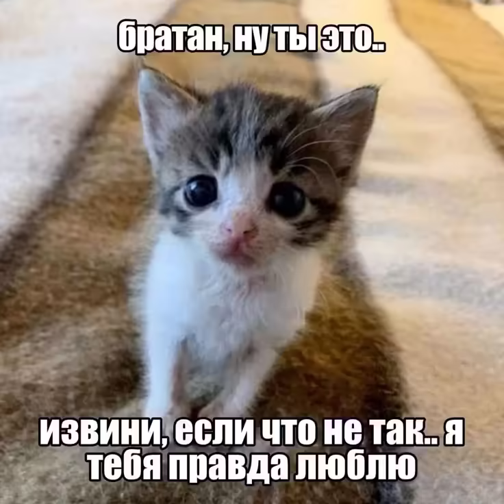 Смешнявка #1216