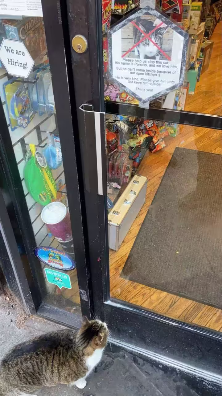 Смешнявка #1229