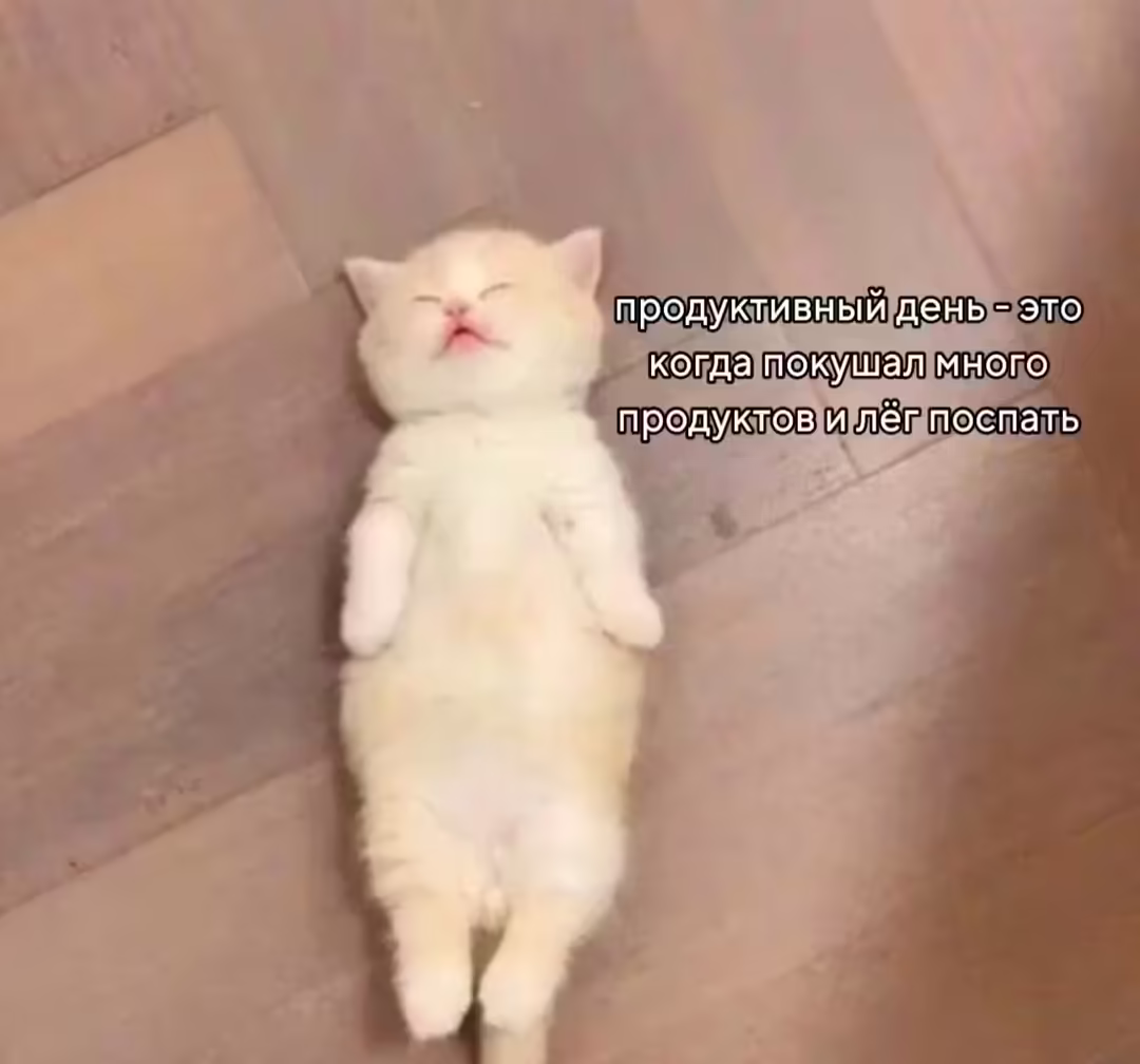 Смешнявка #1238