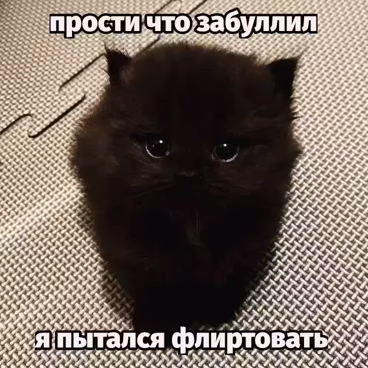 Смешнявка #1245