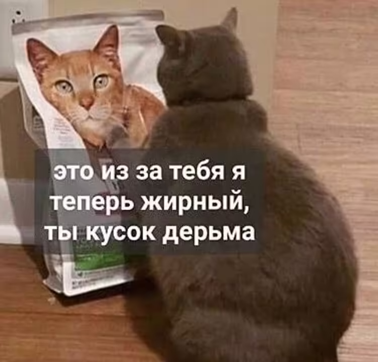 Смешнявка #1254