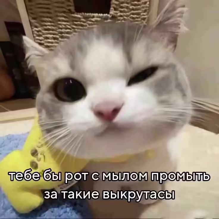 Смешнявка #1258