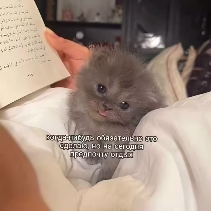 Смешнявка #1260