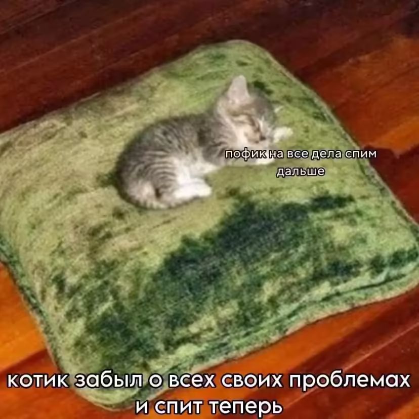 Смешнявка #1261