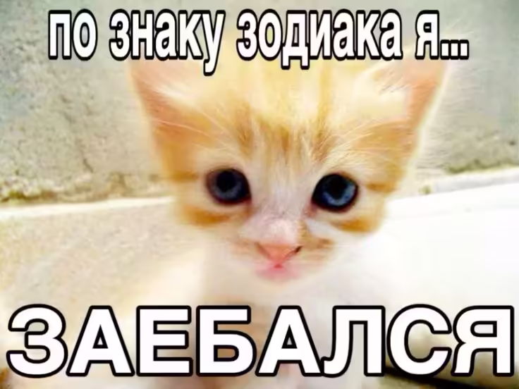 Смешнявка #1273