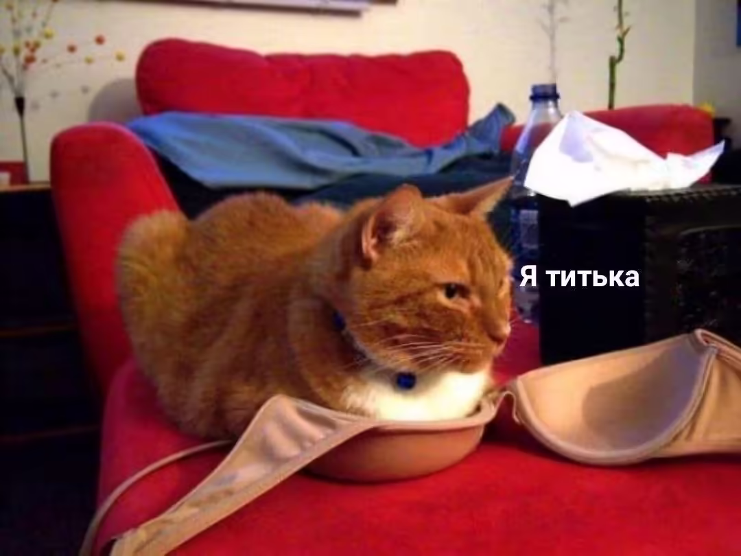 Смешнявка #1274