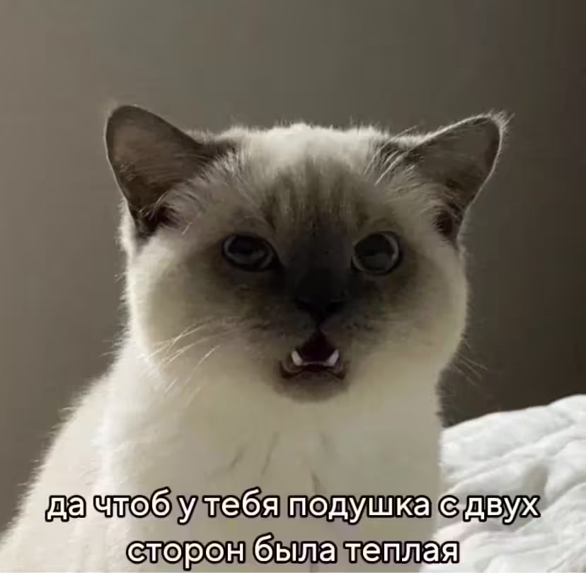 Смешнявка #1281