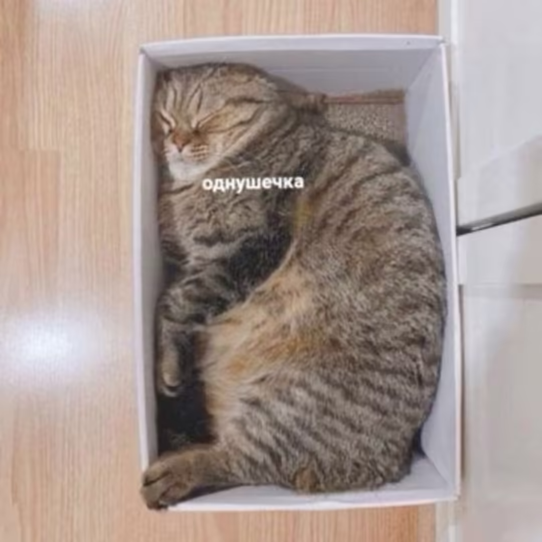 Смешнявка #1283